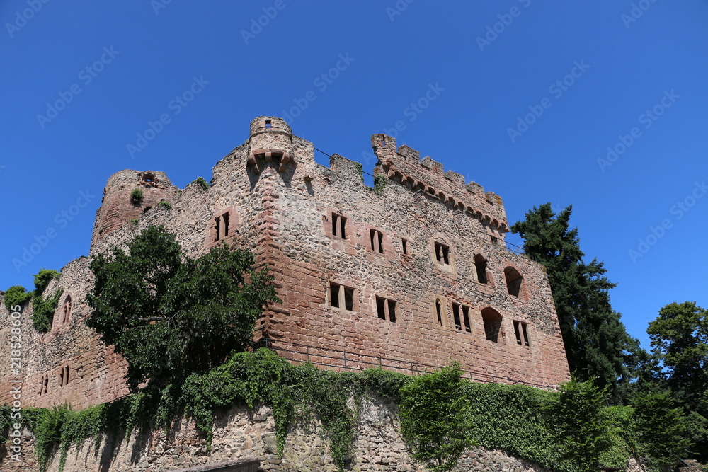 Fototapeta premium Chateaux fort