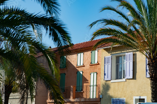 Colors of Provence, France, summertime in small city on Mediterranean Sea, colorful facades and windows and palm trees © barmalini