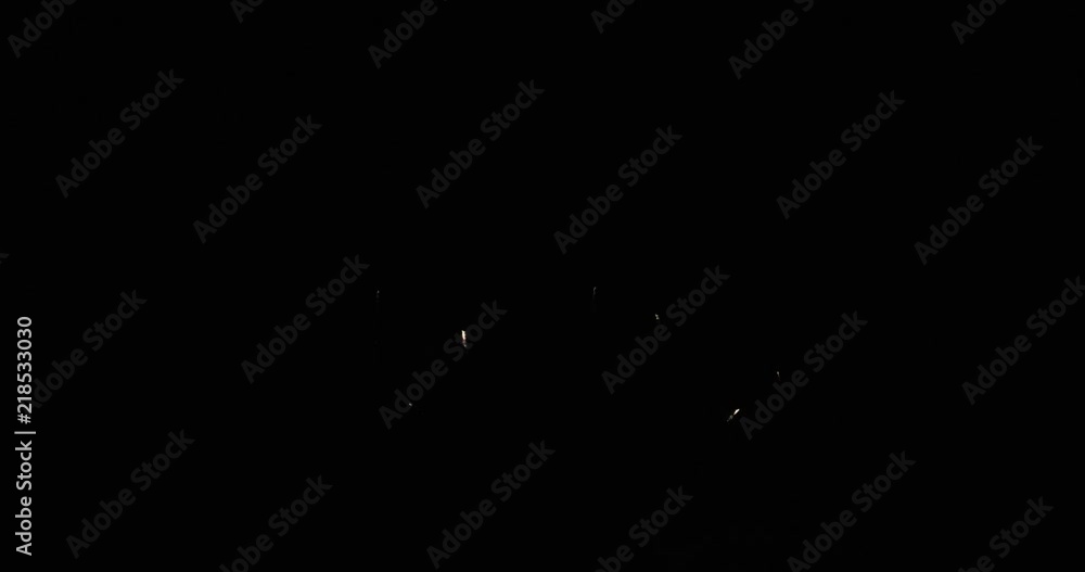 The fireworks in the night sky. Holiday celebration. Colorful and amazing fireworks at holiday night. . The fireworks in the night sky. Holiday celebration. Colorful and amazing fireworks at holiday night. .
