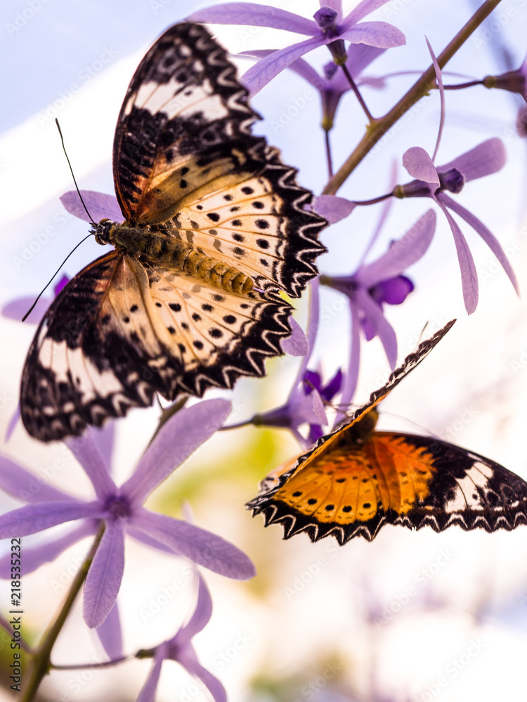 Naklejka premium botanischer garten München