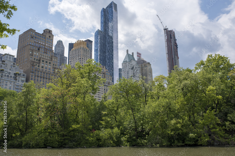 New york city skyline within Central park during the summer