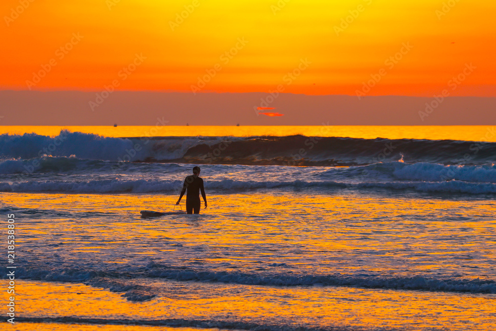 Surfer In Paradise
