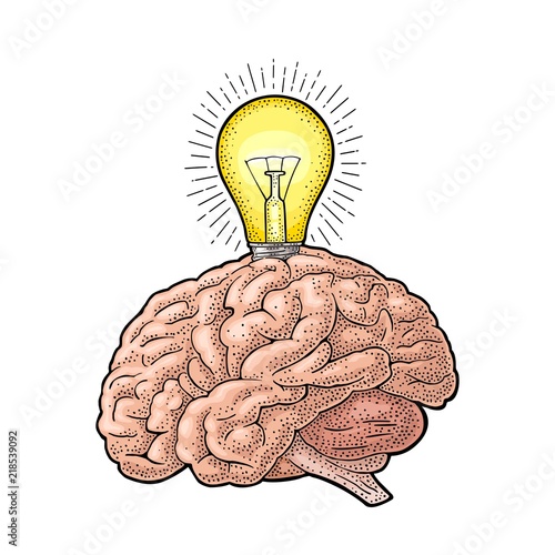 Human anatomy brain and glowing light incandescent bulb. Vector engraving
