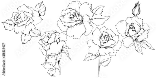 Rose flower in a vector style isolated. Full name of the plant: rose. Vector flower for background, texture, wrapper pattern, frame or border.