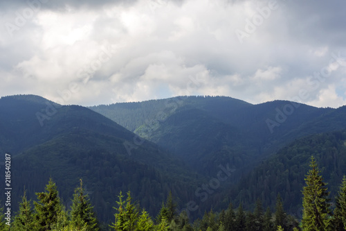 landscape forming mountains densely covered with forest © Oleksandr