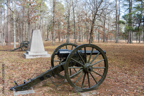 Stampa su tela Union Artillery on Chickamauga Battlefield
