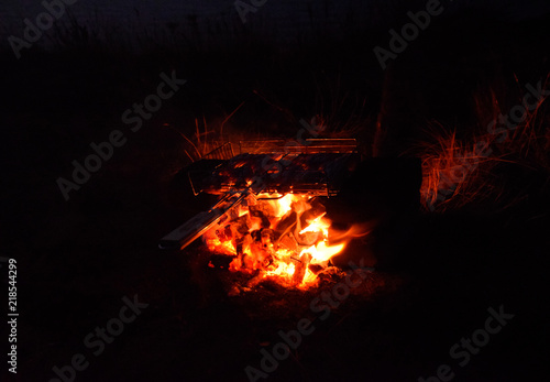 Hot chicken thighs on the fire at night on the beach.