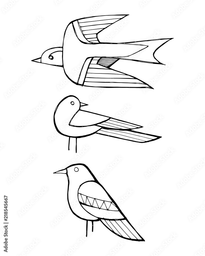 Naklejka premium Hand drawn ink birds illustration