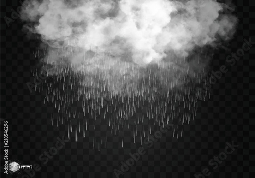 Rain and white cloud isolated on transparent background. Vector