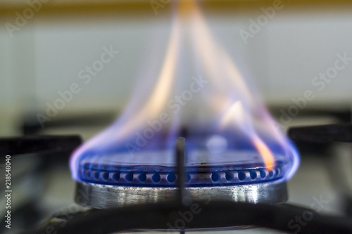 Gas burning from a kitchen gas stove photo