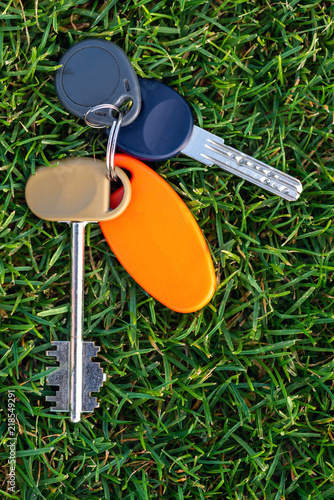 Key link on the grass, vertical photo