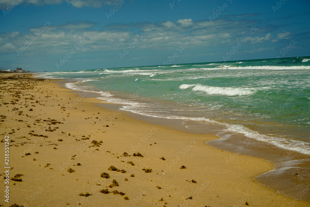 Beautiful windy sandy beach at New Smyrna Beach in Florida