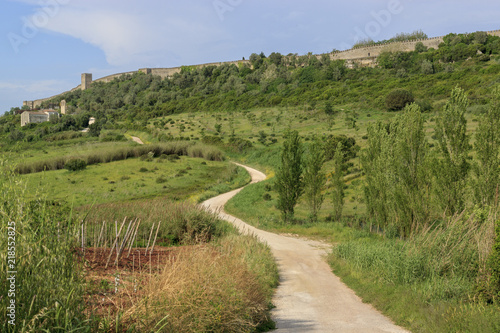 Slika na platnu Winding road in the field leading to the fortress