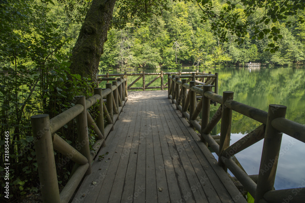 wooden bridge background in bolu yedigoller