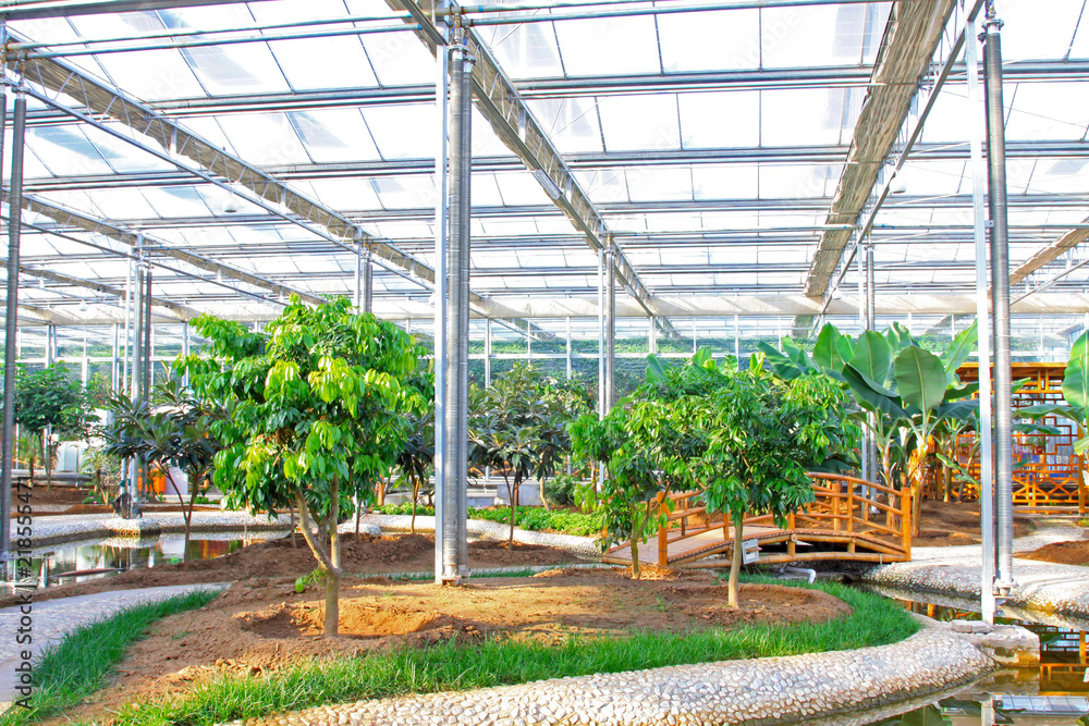 interior architectural landscape in a botanical garden