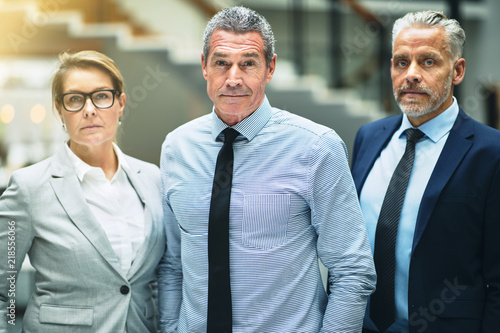 Confident mature businessman and two colleagues standing in an o