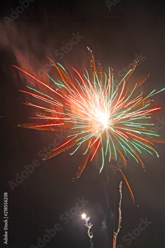 fireworks in the night sky