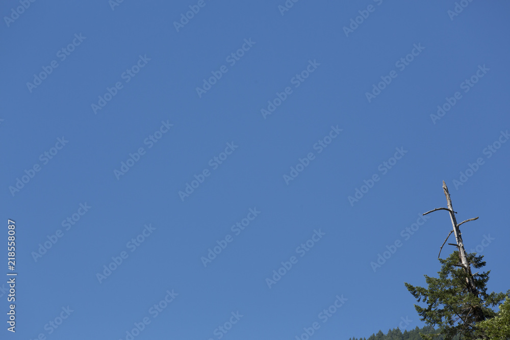 Rugged outdoor background