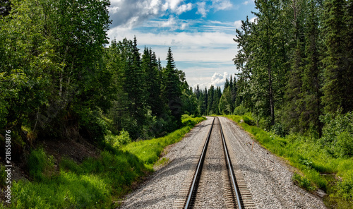 Bild auf Leinwand Light blue northern sky and boreal forest frame the Alaska Railroad