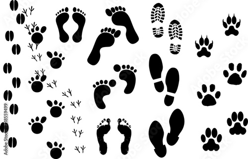 足跡のシルエット Stock Vector Adobe Stock