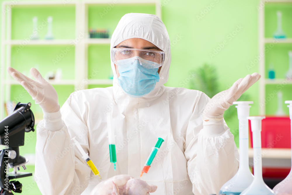 Lab assistant testing GMO chicken Lab assistant testing GMO chicken