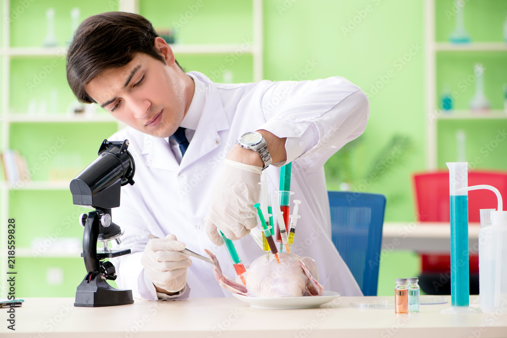 Lab assistant testing GMO chicken Lab assistant testing GMO chicken