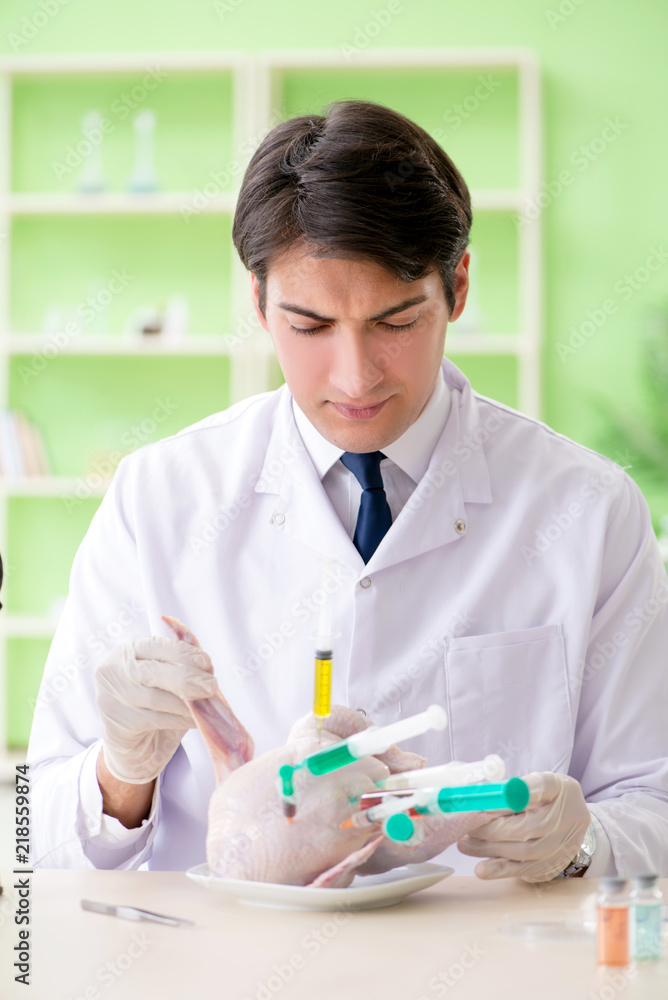 Lab assistant testing GMO chicken Lab assistant testing GMO chicken
