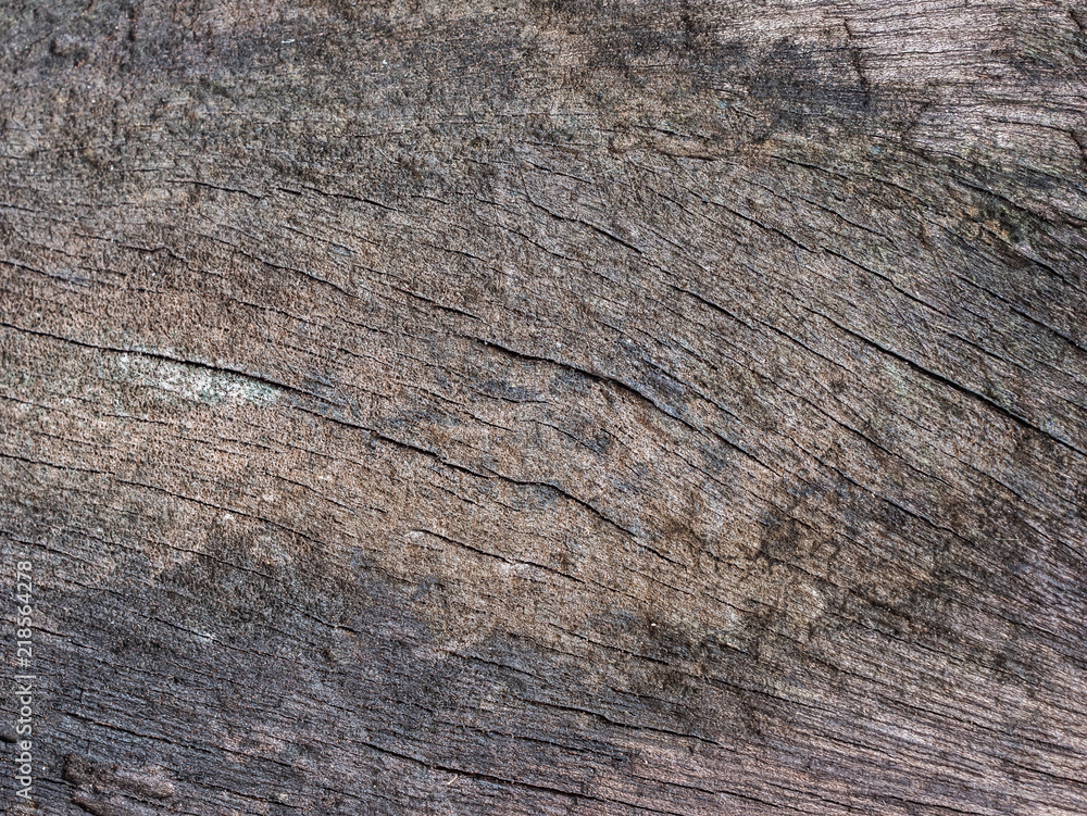 Fototapeta premium old wood wall background