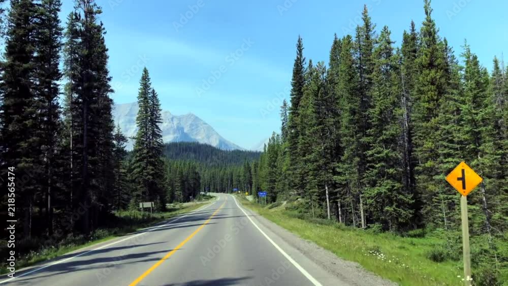 Casually driving in the mountains past the forest trees.