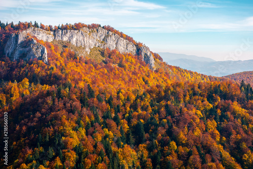 rocky crag in evening light. beautiful autumn scenery with fall color foliage in forest
