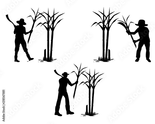 silhouette agriculturist harvest sugarcane vector design