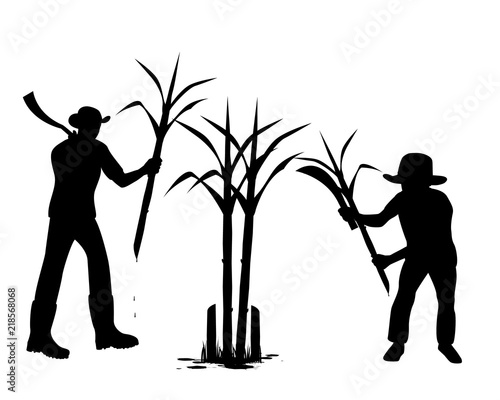 silhouette agriculturist with sugarcane plant vector design