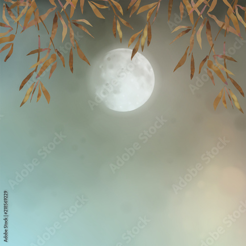 Autumn landscape with full moon