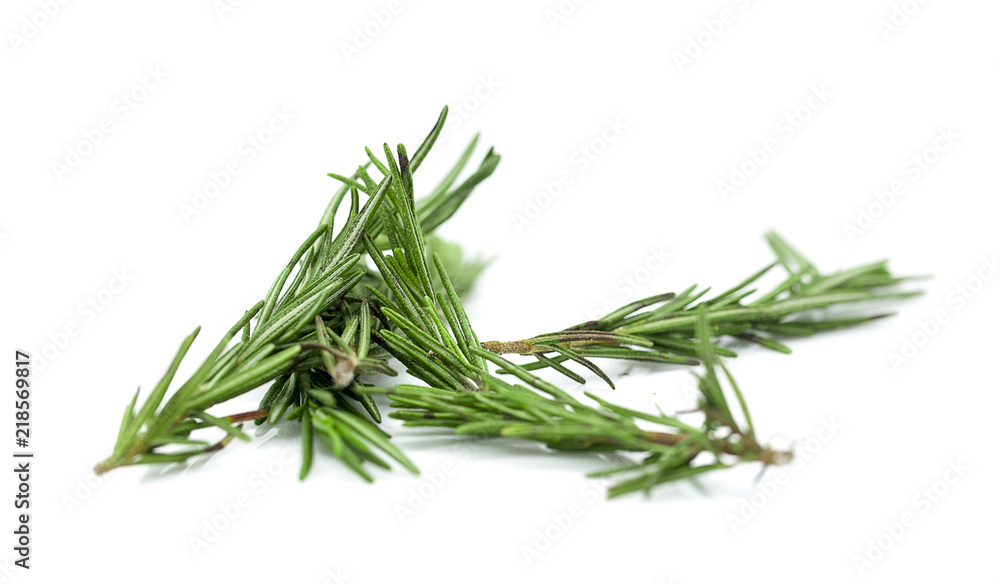 rosemary isolated on white background rosemary isolated on white background