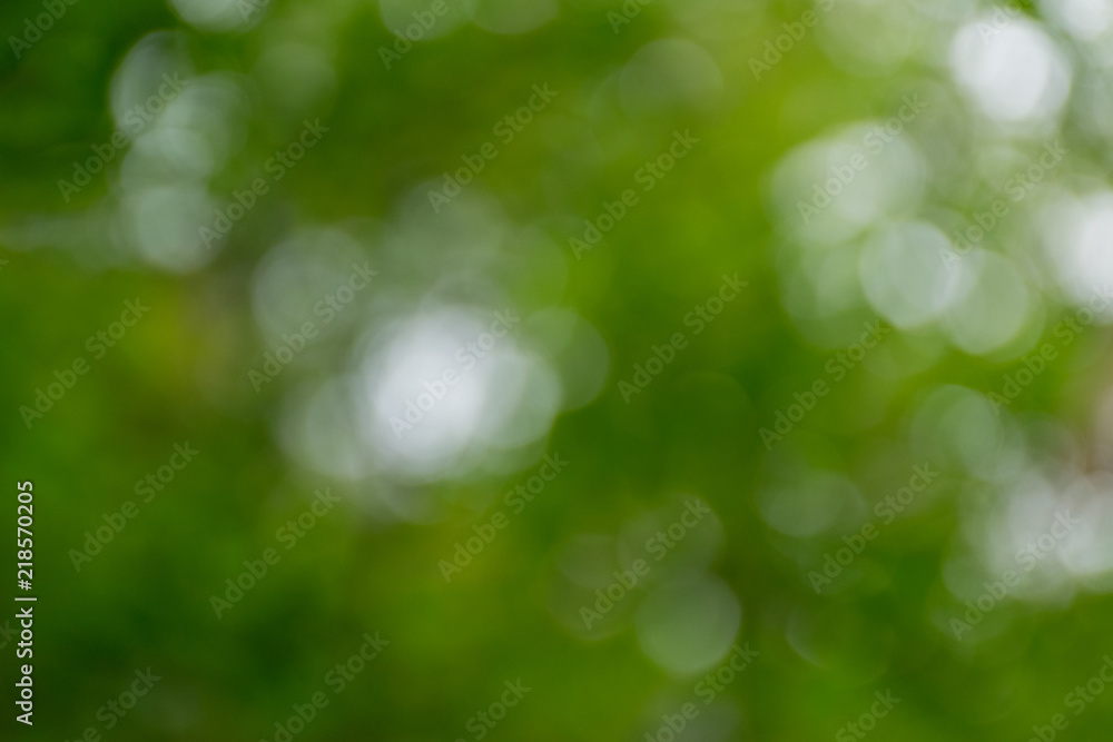 Second light through the tree So become a bokeh.. Second light through the tree So become a bokeh..
