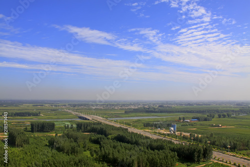 vast forest under the blue sky