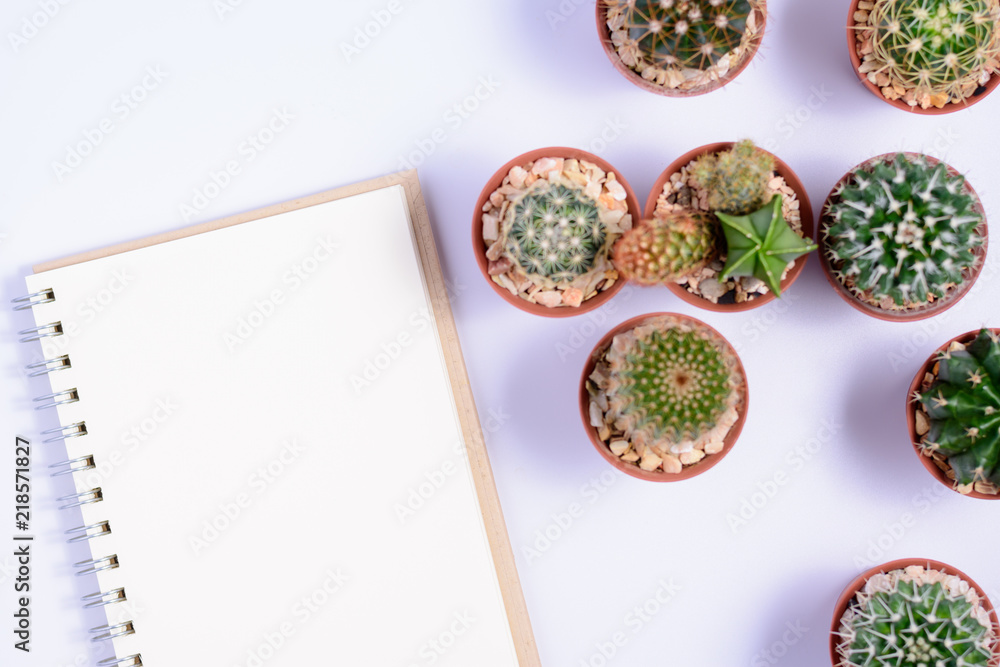 Notebooks with cactus laid around..