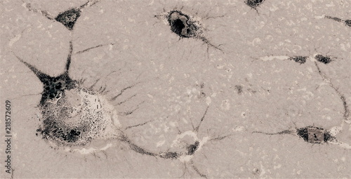 Fotografie suicide fundamentalist neurons, abstract photography of the deserts of Africa fr