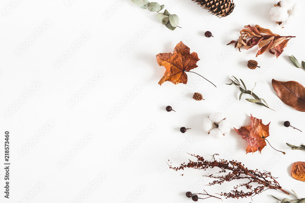 Dried Flowers On White Background. Autumn Composition. Flat Lay