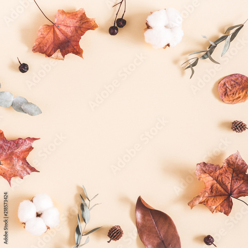 Autumn composition. Frame made of eucalyptus branches, cotton flowers, dried leaves on pastel beige background. Autumn, fall concept. Flat lay, top view, copy space, square