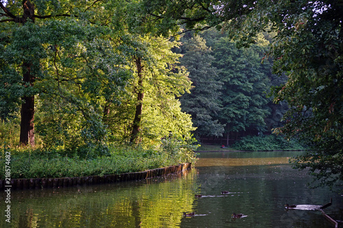 Landscape city summer Park with a large lake.