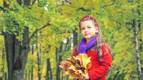 Autumn portrait of the nice little girl in red coat. In her hands a bouquet of yellow maple leaves. Sunny autumn day. Bright colors of autumn.