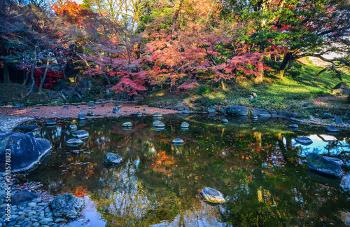 Fototapeta Naklejka Na Ścianę i Meble -  Autumn garden in Tokyo, Japan