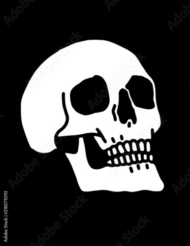 A human skull illustration white on a black background