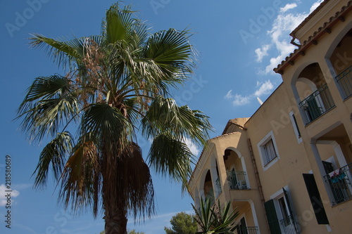 Residential house with a palm tree in Cala Pi on Mallorca
