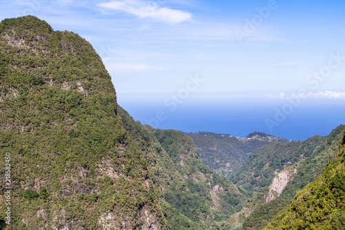 Panorama view of mountain rainforest, Madeira, Portugal