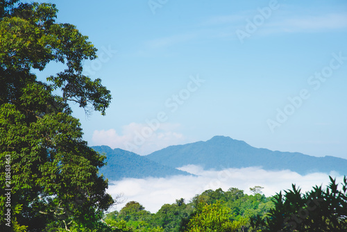 Fototapeta Naklejka Na Ścianę i Meble -  Scenic view of sunrise mountains at northeast Thailand, Mountain range for climbing in mountain trails. the landscape of mountain which including of copy-space for texting. - Vintage retro tone.