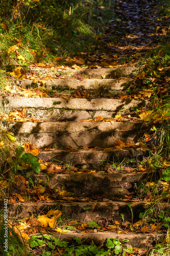 Stone stairs with autumn leaves