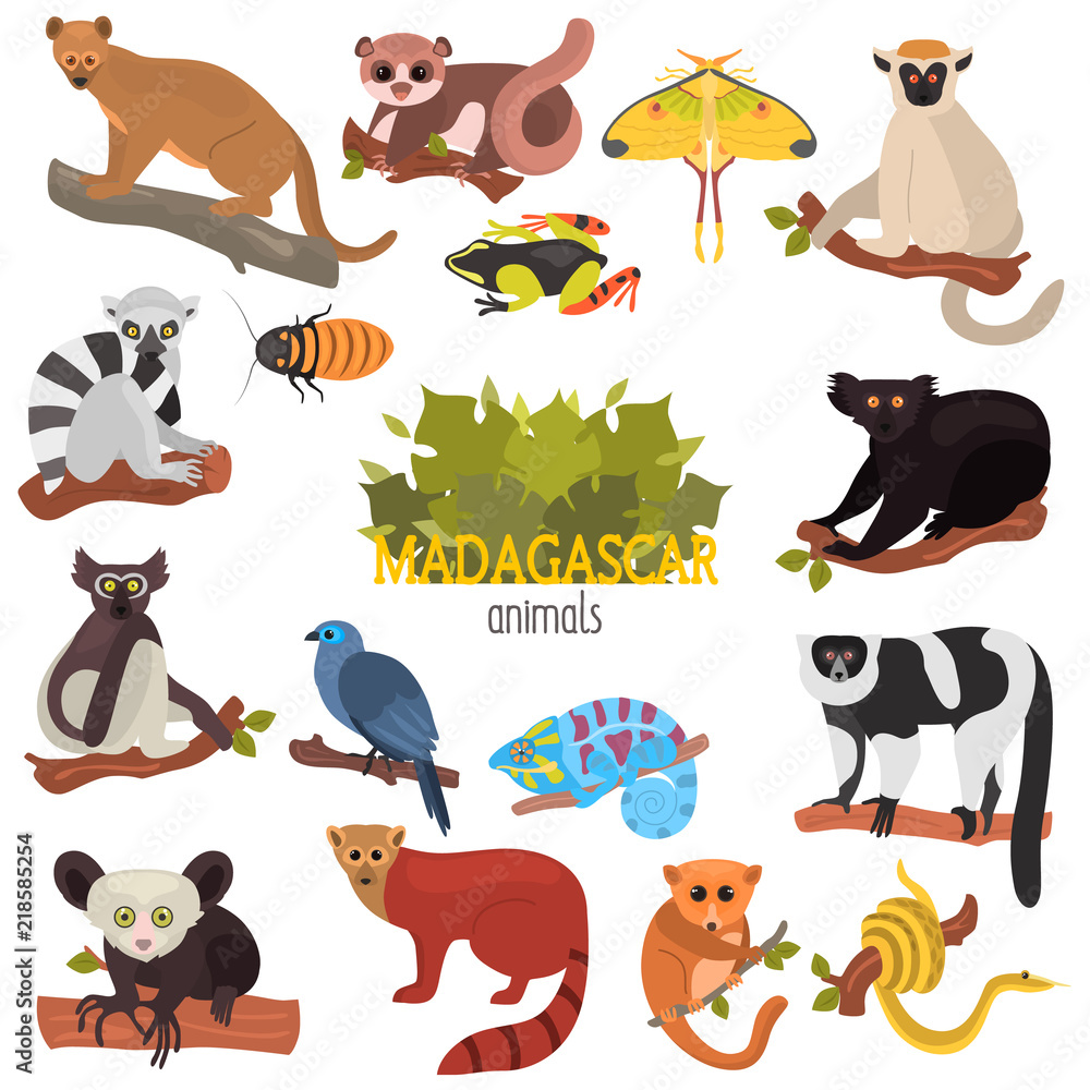 Madagascar unique animals color flat icons set Stock Vector | Adobe Stock