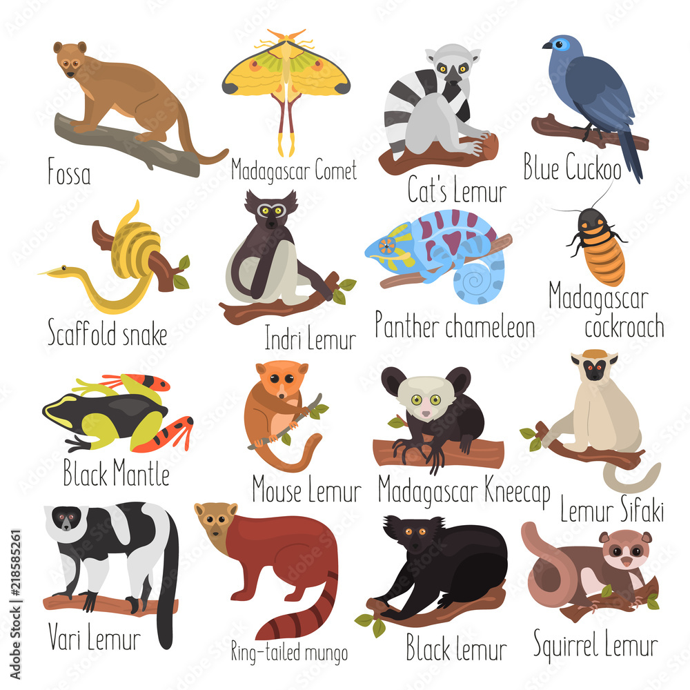 Unique Animal Names Unique Animals With Names